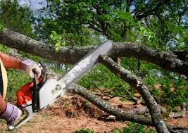 Seasonal Cleanup (Spring/Fall) in Cold Spring, NY